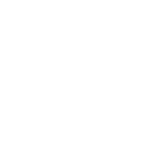 4024 03 Logo SamenStralen Wit 2