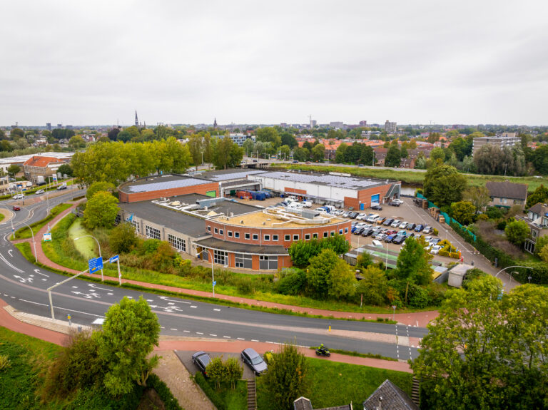 Gouda